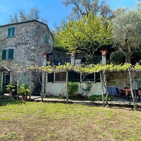 Lobster Cottage Apartment ليفانتو المظهر الخارجي الصورة