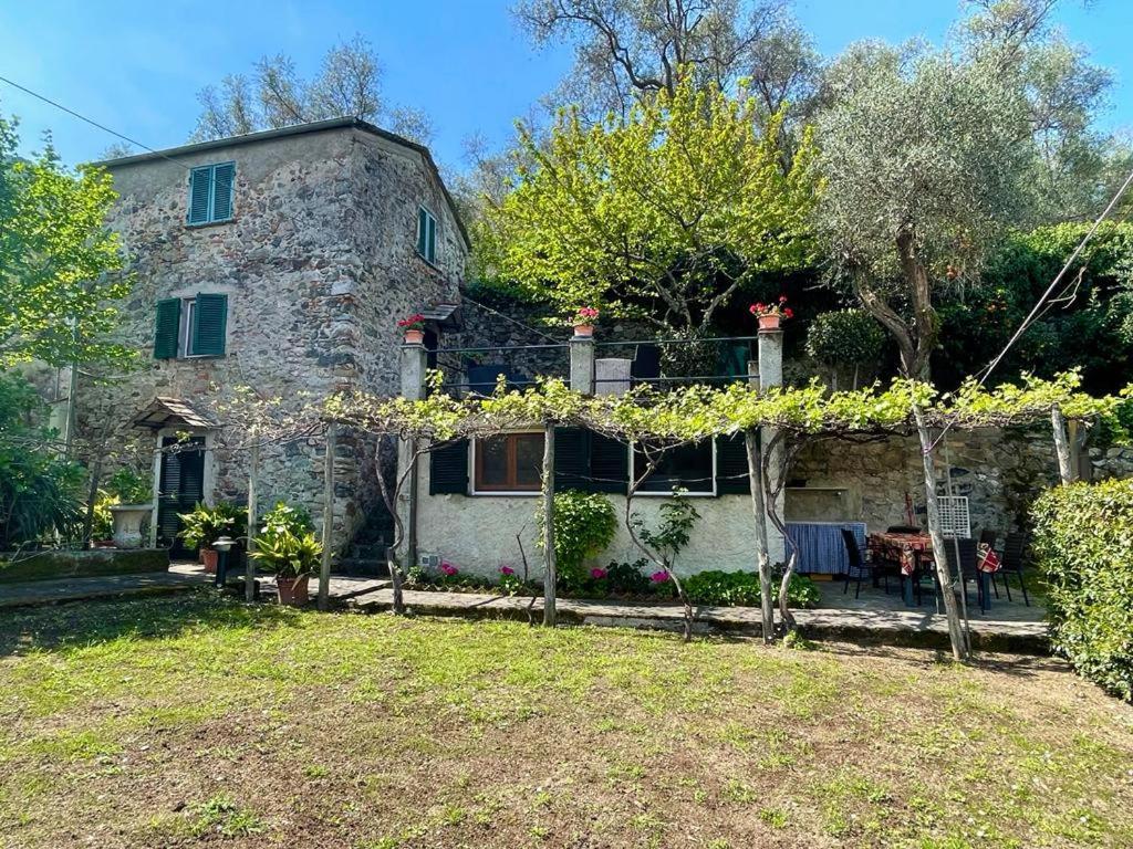 Lobster Cottage Apartment ليفانتو المظهر الخارجي الصورة